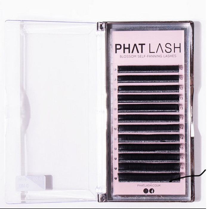 Phat Lash Easy Fan Lash Tray, D Curl, 0.05, Mix Tray 10mm-16mm